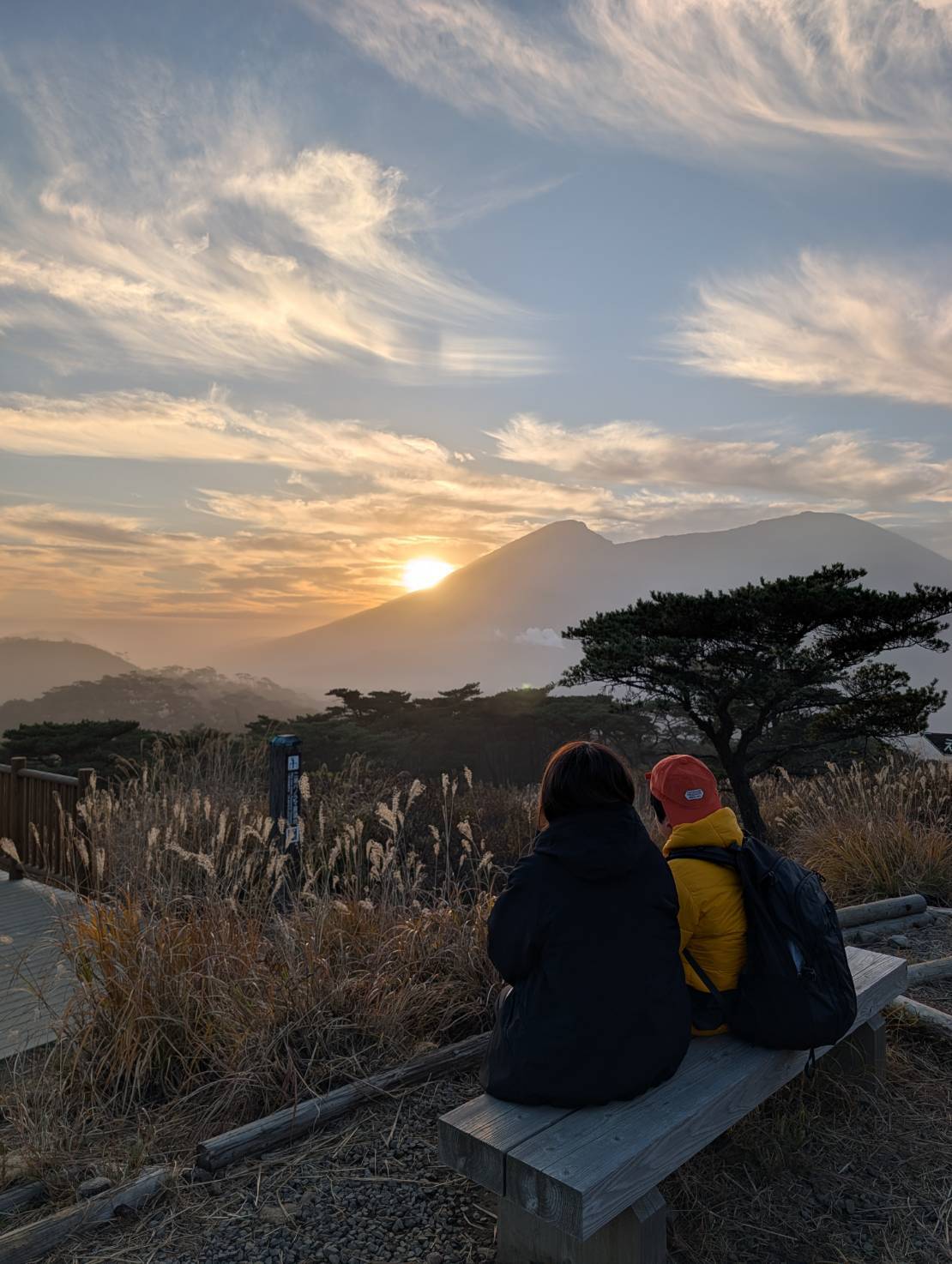 木々に囲まれた森の風景